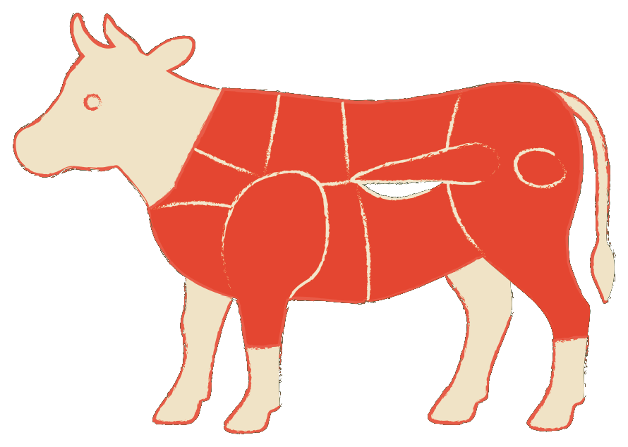 Hanging Tender – Onglet – Nierenzapfen